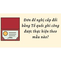 Đơn đề nghị cấp đổi bằng Tổ quốc ghi công được thực hiện theo mẫu nào?