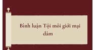 Bình luận Tội môi giới mại dâm
