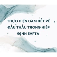 Thực hiện cam kết về đấu thầu trong Hiệp định EVFTA