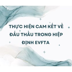 Thực hiện cam kết về đấu thầu trong Hiệp định EVFTA