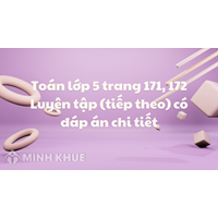 Toán lớp 5 trang 171, 172 Luyện tập (tiếp theo) có đáp án chi tiết