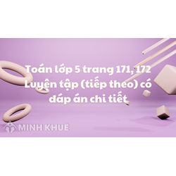 Toán lớp 5 trang 171, 172 Luyện tập (tiếp theo) có đáp án chi tiết