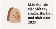 Mẫu đơn xin việc viết tay chuẩn, thu hút, mới nhất năm 2024