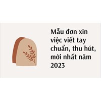 Mẫu đơn xin việc viết tay chuẩn, thu hút, mới nhất năm 2024