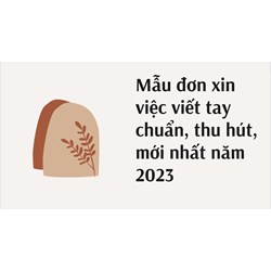 Mẫu đơn xin việc viết tay chuẩn, thu hút, mới nhất năm 2024