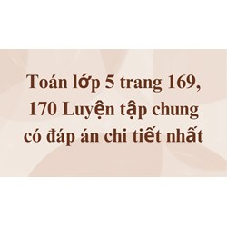 Toán lớp 5 trang 169, 170 Luyện tập chung có đáp án chi tiết nhất
