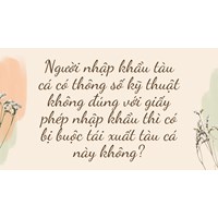 Người nhập khẩu tàu cá có thông số kỹ thuật không đúng với giấy phép nhập khẩu thì có bị buộc tái xuất tàu cá này không?