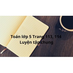 Toán lớp 5 trang 113, 114 Luyện tập chung có đáp án chi tiết