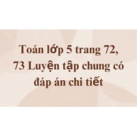 Toán lớp 5 trang 72, 73 Luyện tập chung có đáp án chi tiết