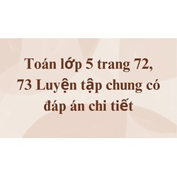 Toán lớp 5 trang 72, 73 Luyện tập chung có đáp án chi tiết