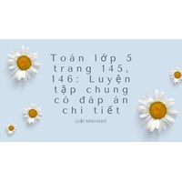 Toán lớp 5 trang 145, 146: Luyện tập chung có đáp án chi tiết