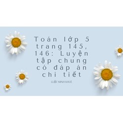 Toán lớp 5 trang 145, 146: Luyện tập chung có đáp án chi tiết