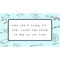 Toán lớp 5 trang 137, 138: Luyện tập chung có đáp án chi tiết