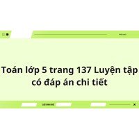 Toán lớp 5 trang 137 Luyện tập có đáp án chi tiết