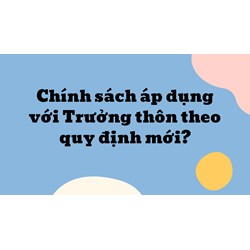 Chính sách áp dụng với Trưởng thôn theo quy định mới?