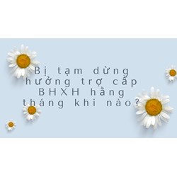 Bị tạm dừng hưởng trợ cấp BHXH hằng tháng khi nào?