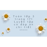 Toán lớp 5 trang 171 Luyện tập có đáp án chi tiết