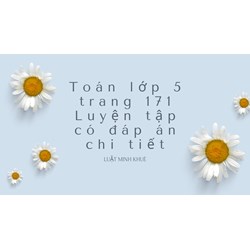 Toán lớp 5 trang 171 Luyện tập có đáp án chi tiết