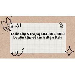 Toán lớp 5 trang 104, 105, 106: Luyện tập về tính diện tích