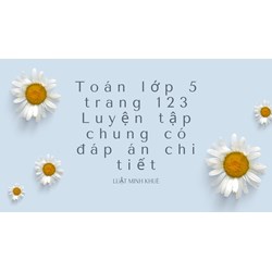 Toán lớp 5 trang 123 Luyện tập chung có đáp án chi tiết