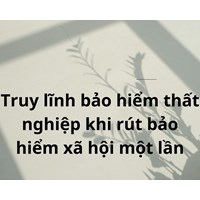 Có được truy lĩnh bảo hiểm thất nghiệp khi đã rút BHXH 1 lần không?