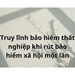 Có được truy lĩnh bảo hiểm thất nghiệp khi đã rút BHXH 1 lần không?