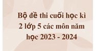 Bộ đề thi cuối học kì 2 lớp 5 các môn cập nhật mới nhất