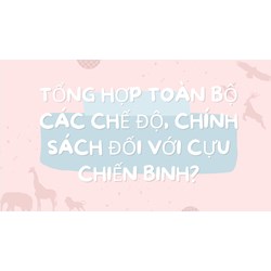 Tổng hợp toàn bộ các chế độ, chính sách đối với Cựu chiến binh?