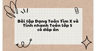 Bài tập Dạng Toán Tìm X và Tính nhanh Toán lớp 5 có đáp án