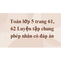 Toán lớp 5 trang 61, 62 Luyện tập chung phép nhân có đáp án
