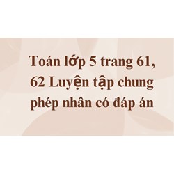 Toán lớp 5 trang 61, 62 Luyện tập chung phép nhân có đáp án