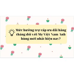 Mức hưởng trợ cấp ưu đãi hằng tháng đối với Mẹ Việt Nam Anh hùng mới nhất hiện nay?