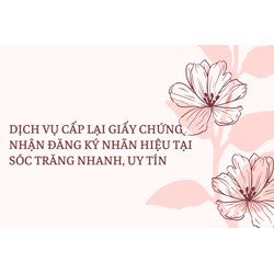 Dịch vụ cấp lại giấy chứng nhận đăng ký nhãn hiệu tại Sóc Trăng nhanh, uy tín
