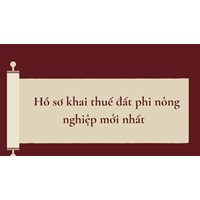 Hồ sơ khai thuế đất phi nông nghiệp mới nhất