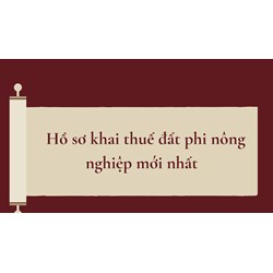Hồ sơ khai thuế đất phi nông nghiệp mới nhất