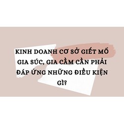 Kinh doanh cơ sở giết mổ gia súc, gia cầm cần phải đáp ứng những điều kiện gì?