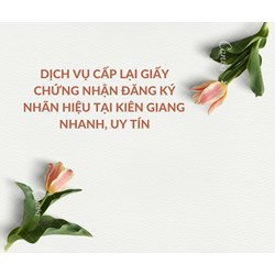 Dịch vụ cấp lại giấy chứng nhận đăng ký nhãn hiệu tại Kiên Giang nhanh, uy tín