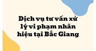 Dịch vụ tư vấn xử lý vi phạm nhãn hiệu tại Bắc Giang