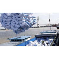 Điều kiện cấp Giấy chứng nhận đủ điều kiện kinh doanh xuất khẩu gạo