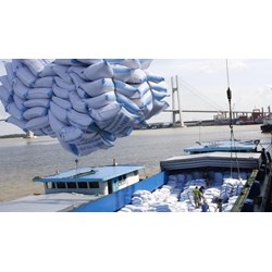 Điều kiện cấp Giấy chứng nhận đủ điều kiện kinh doanh xuất khẩu gạo