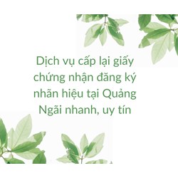Dịch vụ cấp lại giấy chứng nhận đăng ký nhãn hiệu tại Quảng Ngãi nhanh, uy tín