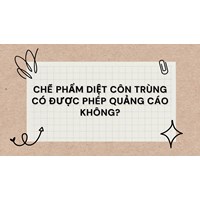 Chế phẩm diệt côn trùng có được phép quảng cáo không?