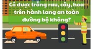 Có được trồng rau, cây, hoa trên hành lang an toàn đường bộ không?