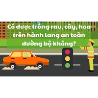 Có được trồng rau, cây, hoa trên hành lang an toàn đường bộ không?