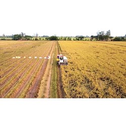 Quy định về người Việt Nam trước khi định cư ở nước ngoài giao lại đất nông nghiệp cho người ở trong nước sử dụng