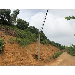 Quy định về trường hợp đất do cá nhân khai phá nhưng sau đó xuất cảnh định cư ở nước ngoài và người khác đã quản lý, sử dụng ổn định, lâu dài