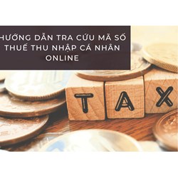 Hướng dẫn tra cứu mã số thuế thu nhập cá nhân online