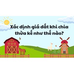 Xác định giá đất khi chia thừa kế thực hiện như thế nào?