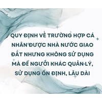 Quy định về trường hợp cá nhân được Nhà nước giao đất nhưng không sử dụng mà để người khác quản lý, sử dụng ổn định, lâu dài