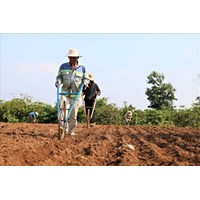 Trường hợp nào chuyển mục đích sử dụng đất không cần xin phép?
